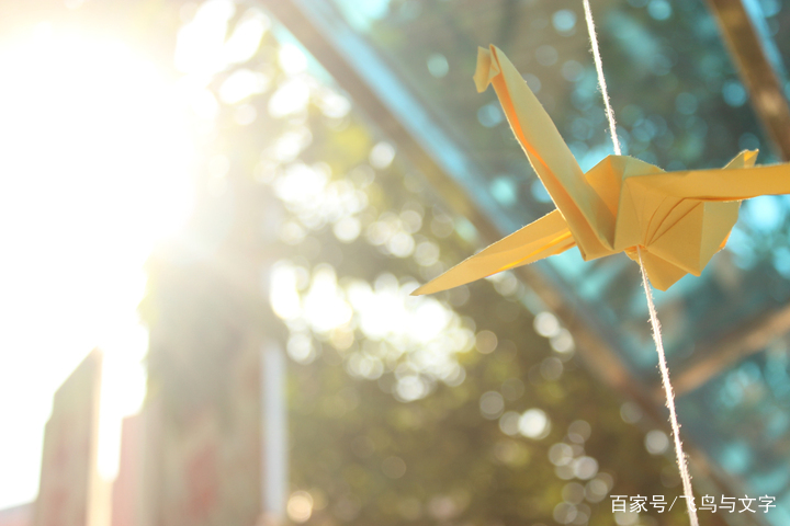 在这个浮躁的社会很难保持初心,当今浮躁的社会还能保持初心吗