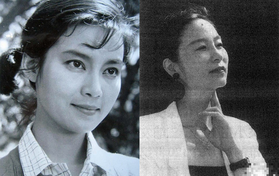 奚美娟国家一级演员,潘虹和奚美娟的电视剧