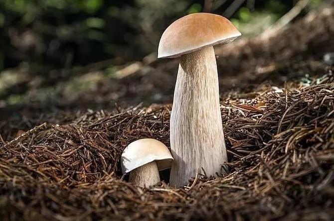 看完冰雪奇缘跟孩子聊,冰雪奇缘观后感