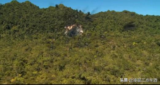 女孩误入原始森林被野人带走,女孩进入森林被原始土著抓住