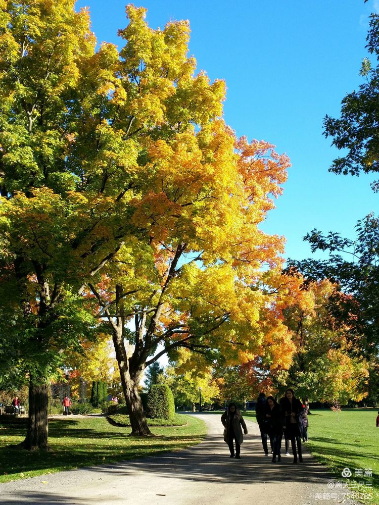 漫步魁北克体验不一样的北美风情,北美枫情蒙特利尔