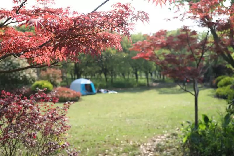 上海厉害了,厉害了上海