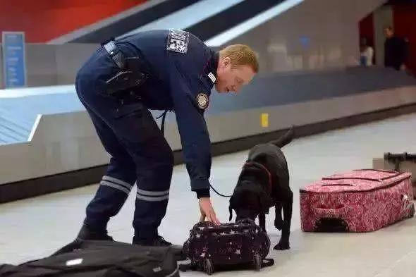 出国旅游怎样避免被遣返,在国外被遣返的需要自费么