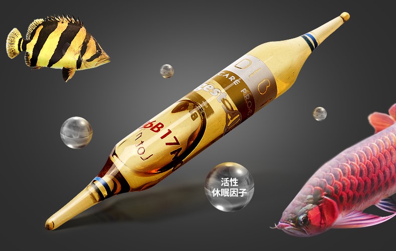 酸奶能让鱼缸水变清澈,鱼缸里放酸奶有什么效果