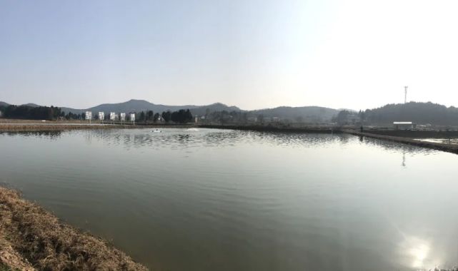 新泰市小型水库管理体制改革方案,四川省水库管理体制