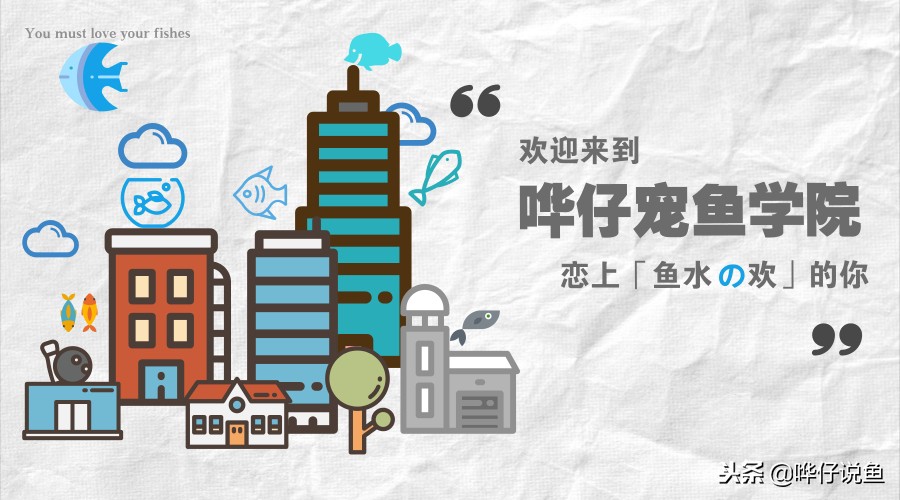 鱼缸换水的正确方法和注意事项,鱼缸正确换水方法和注意事项