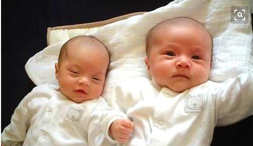 家有一个龙宝宝一个虎宝宝好吗,家有一龙一虎两个宝宝好吗