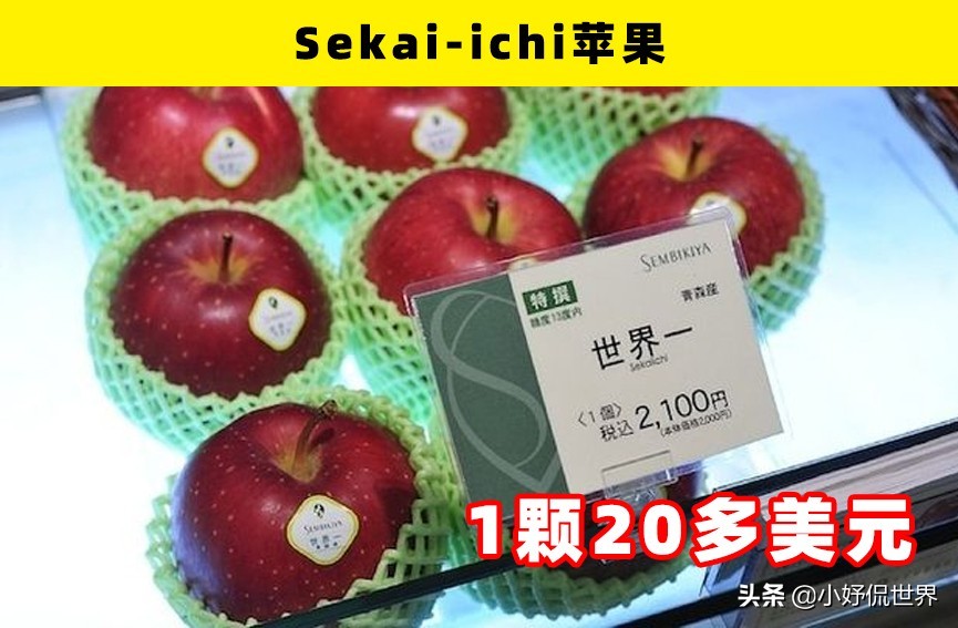 通常只有土豪才买得起的9种昂贵的水果