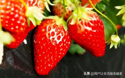 合肥美丽的地方有哪些,合肥是个好地方吗