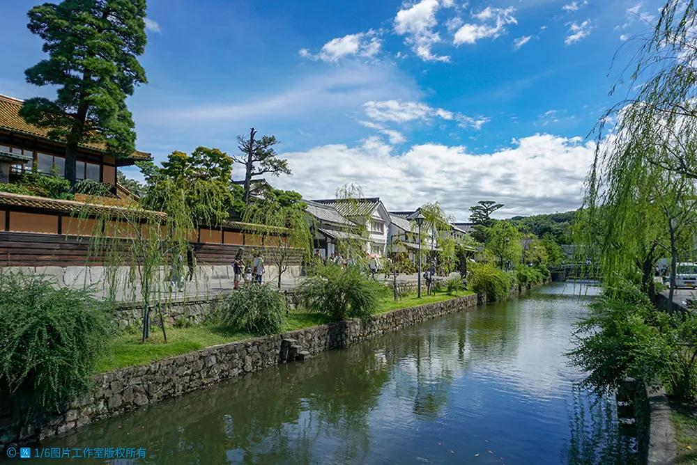 华高莱斯,华高莱斯武汉