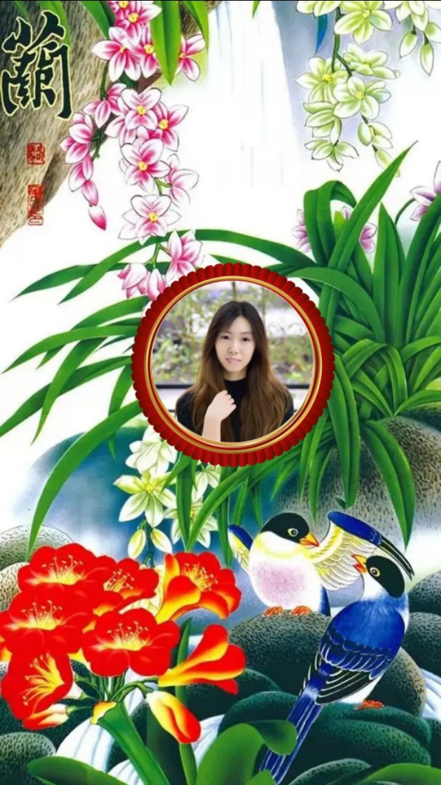 精美兰花壁纸图,兰花高贵壁纸