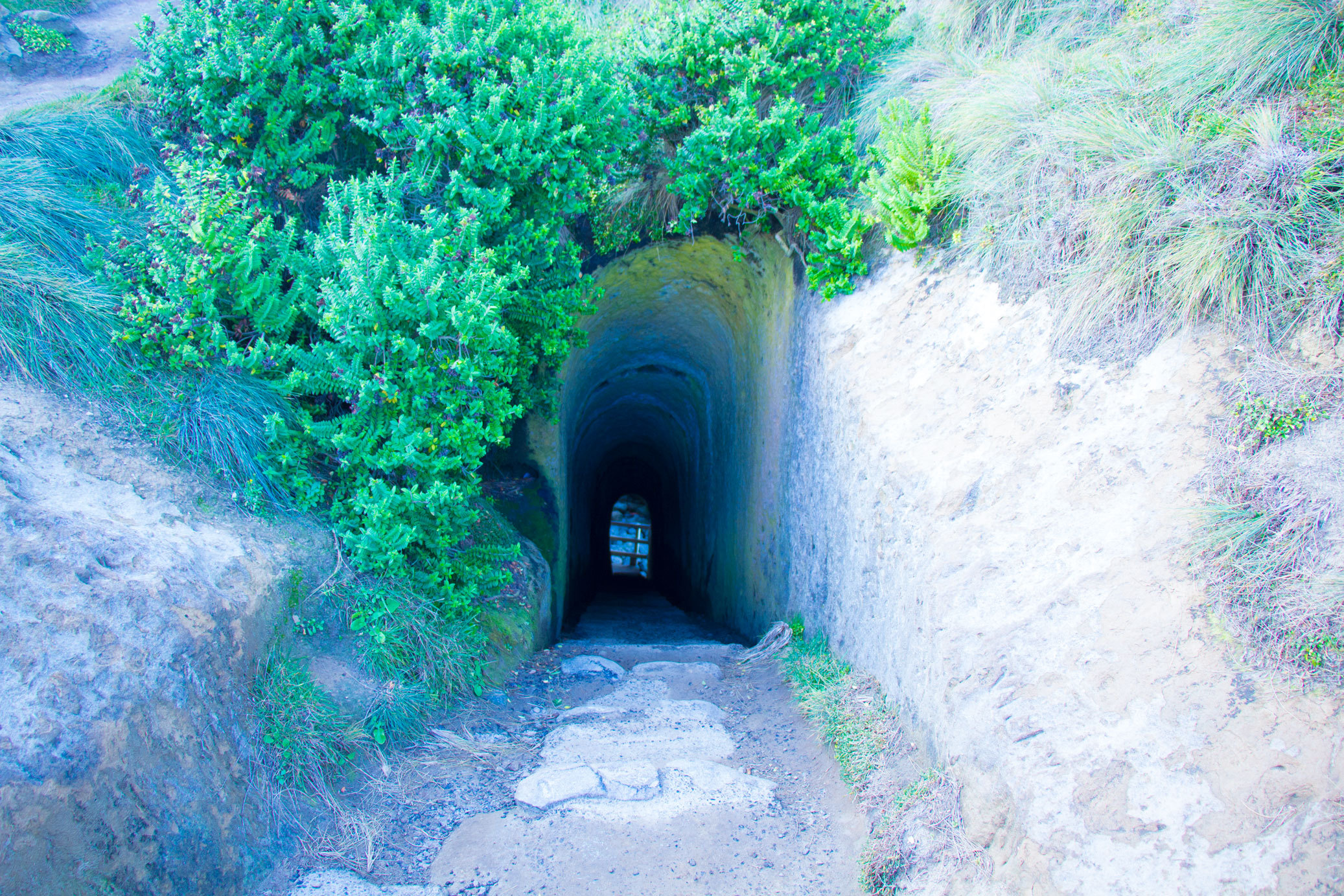 新西兰旅游必备大牌礼物,新西兰旅行攻略完整详细版