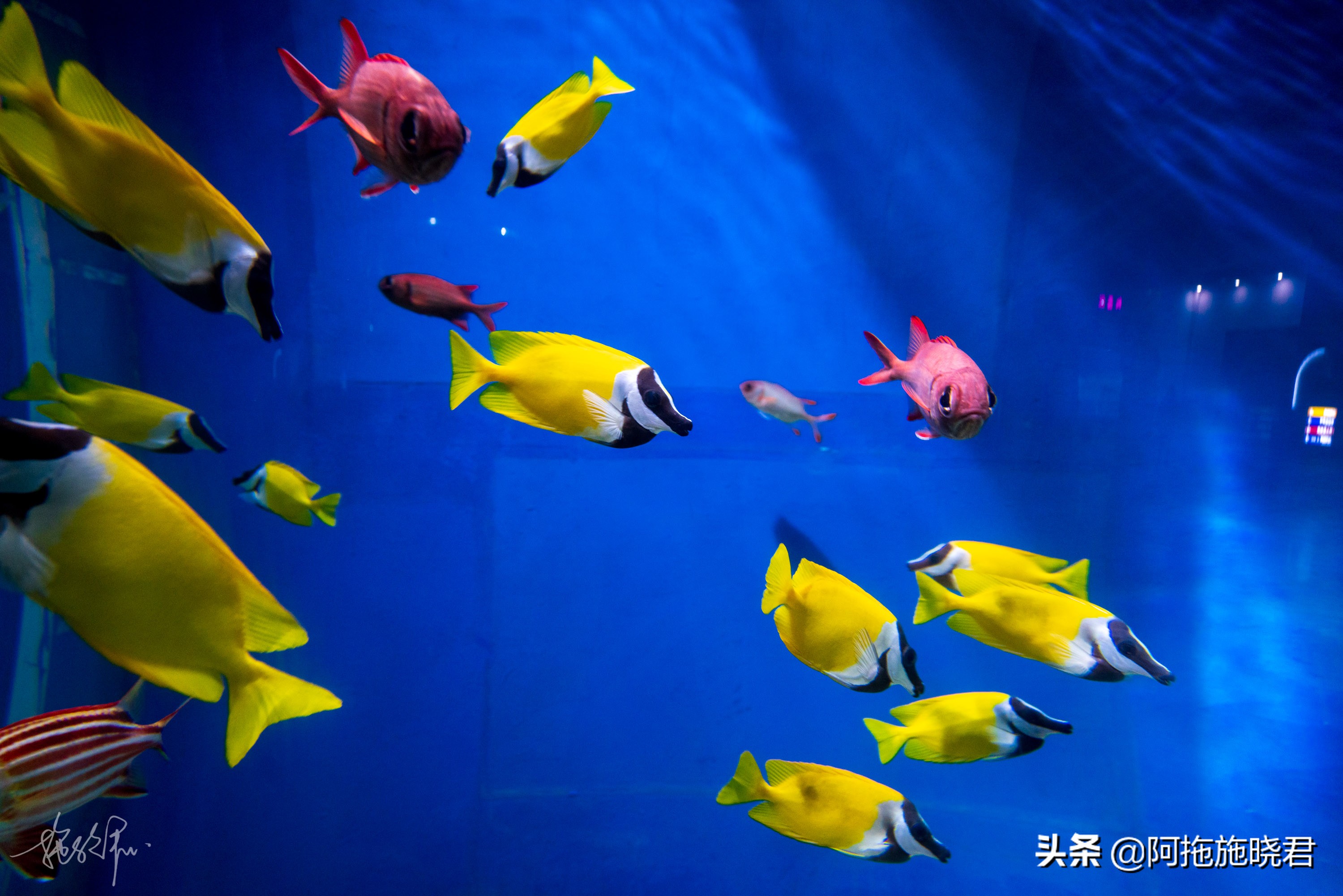 遇见福州仓山,遇见福州创作原声稻香