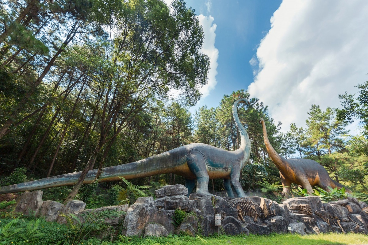 清远森波拉温泉度假村团购,清远森波拉温泉度假村