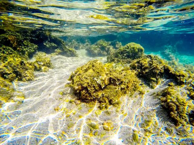 带你们看一下神奇的海底世界,高清60帧海底世界