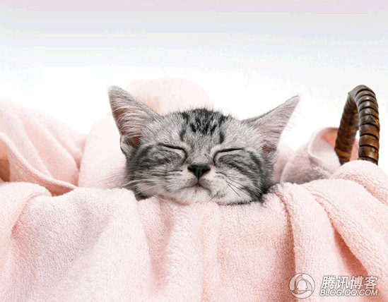 工作中的幽默小故事,职场幽默小故事欣赏