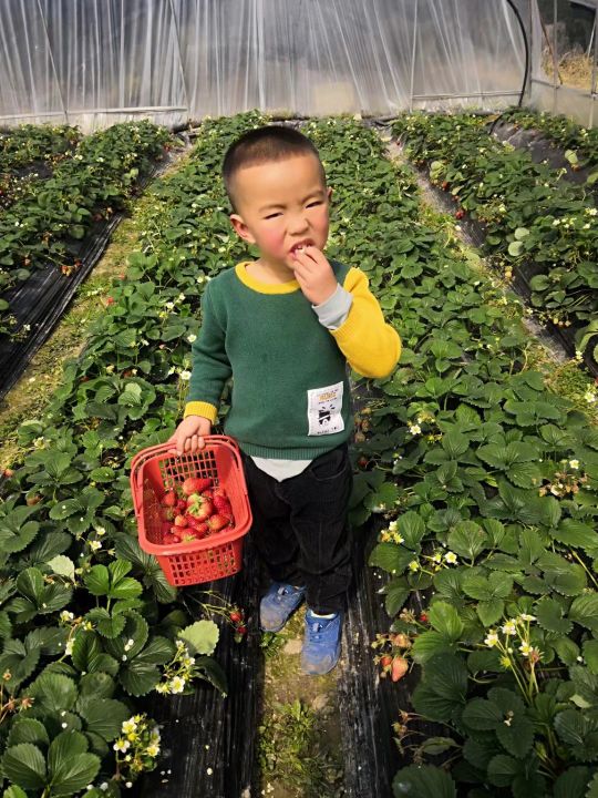 小耳畸形再造手术有后遗症吗,儿童小耳畸形去哪里做手术好