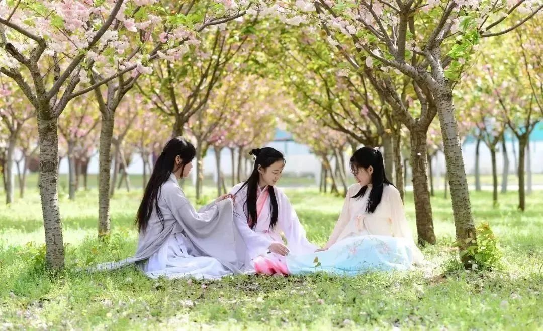 徐州生物工程职业学院2024年单招,徐州生物工程职业技术学院升本科