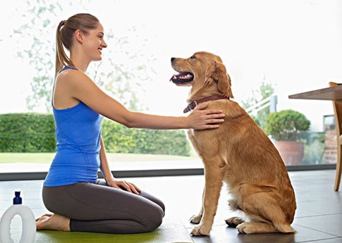 训练兴奋狗狗,训练犬的兴奋方法