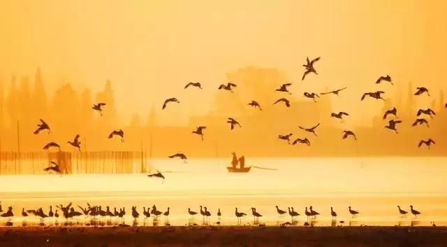 赞美大美中国的诗句,关于祖国大好河山的诗句有哪些