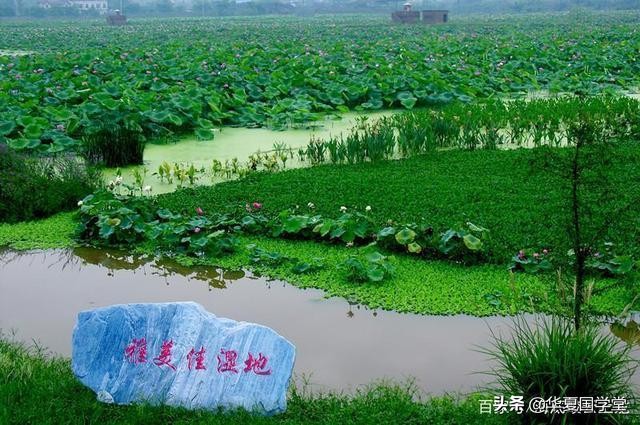 龙水镇城,重庆市大足区龙水镇五金