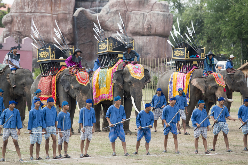 云南象群两只母象打架公象劝架,公象和母象打斗