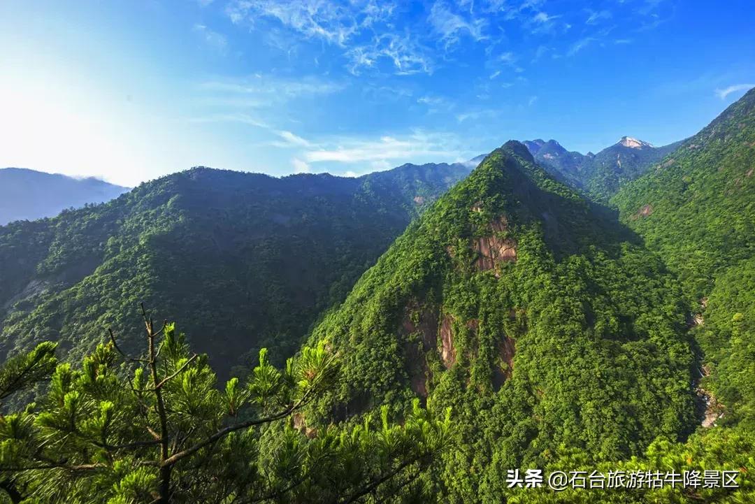 石台县牯牛降直播间,牯牛降宣传视频