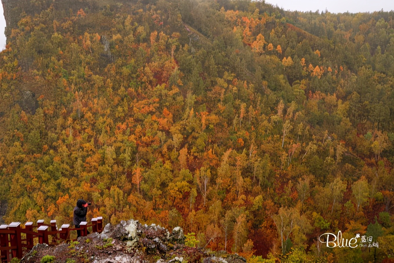 从漠河自驾到抚远镇,漠河至丹东自驾g331攻略