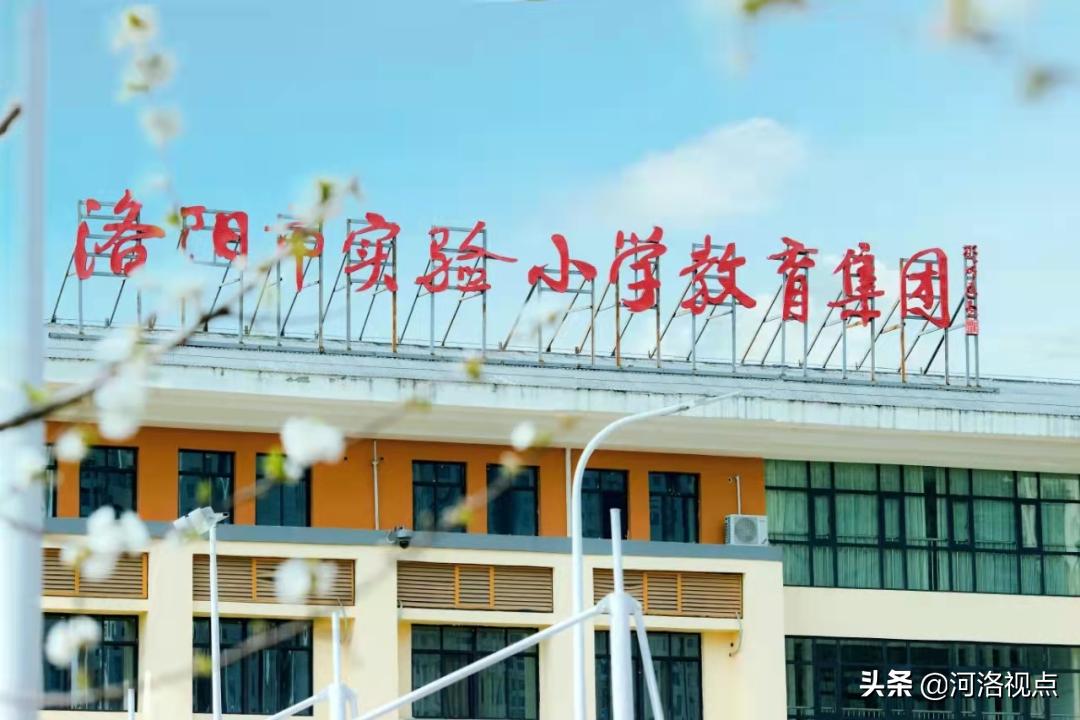 洛阳市第一实验小学校长李青青,洛阳市实验小学校长李青青简历