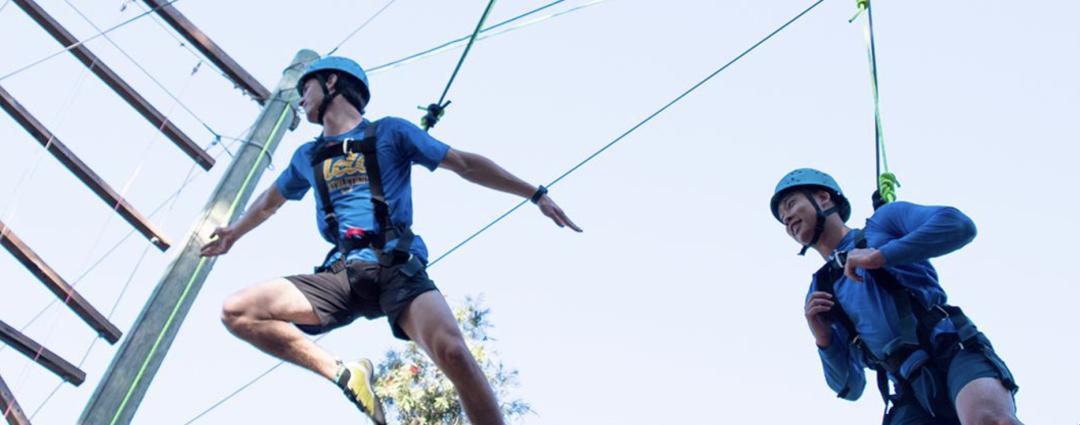 美国最强公立大学！届届承包奥运会全部金牌！UCLA，不说再见