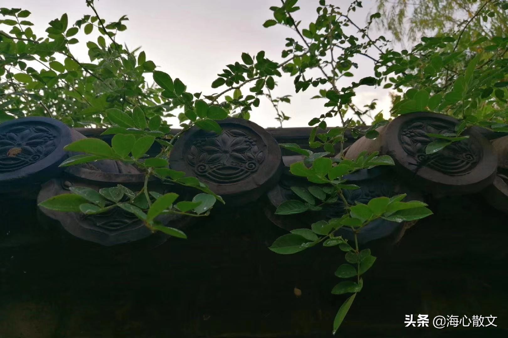 秋天的风都是从往年吹来的谁写的,秋天的风都是从往年吹来的啥意思