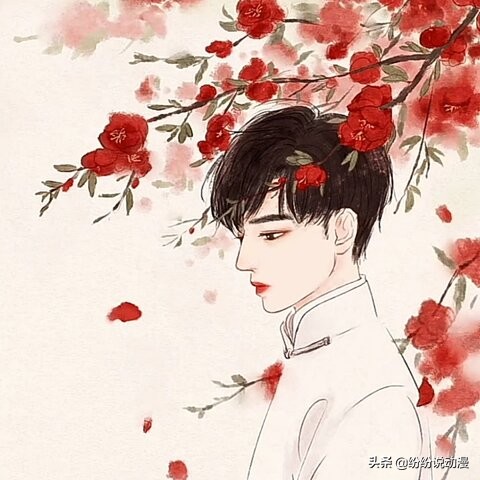 老九门二月红个人信息,老九门二月红的感情戏