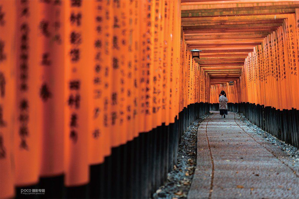 结合摄影知识谈如何拍好一张照片,如何拍出一张优美的照片摄影思路