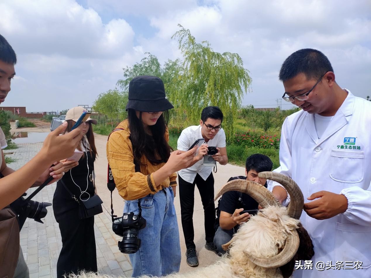 风物中华大好河山,滩羊之乡风物盐池