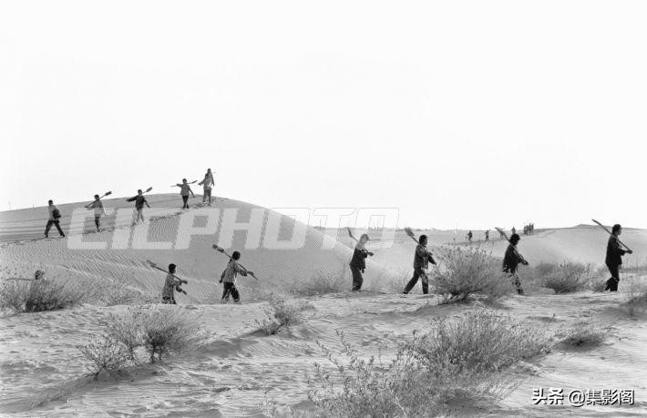 榆林市镇川镇老照片 (榆林市卫校老照片)