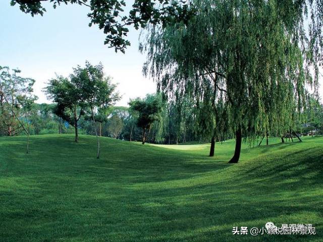 住宅小区植物配置方案,植物种植小技巧一览表图