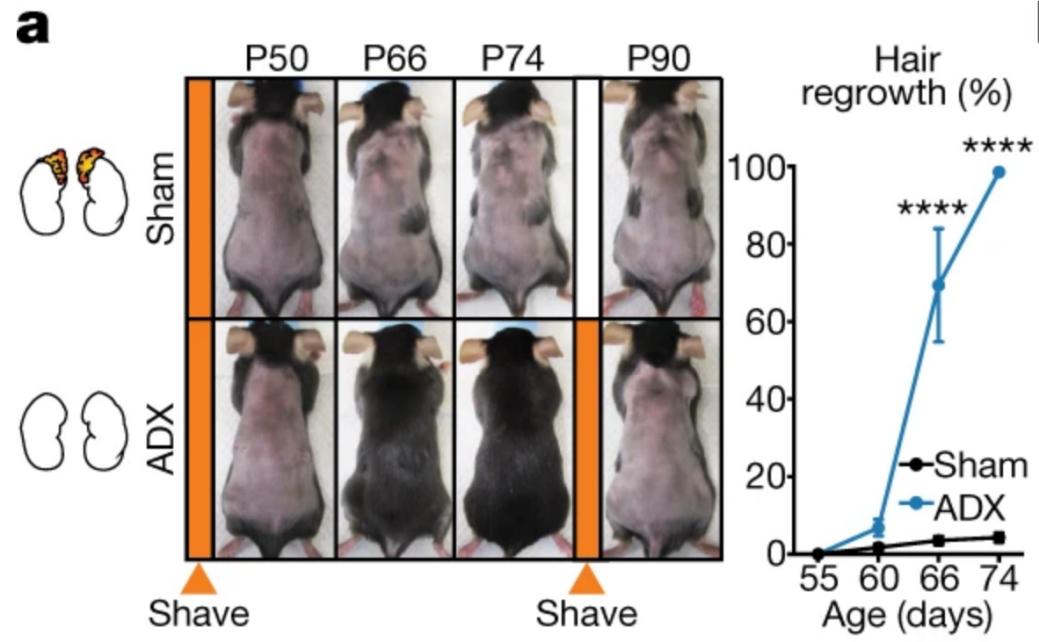 科研人员激动痛哭,头秃的真相