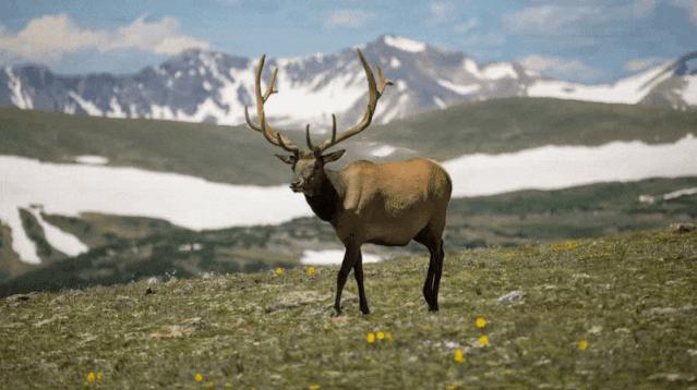 ppt没有插入3d功能怎么办,ppt为什么没有3d功能