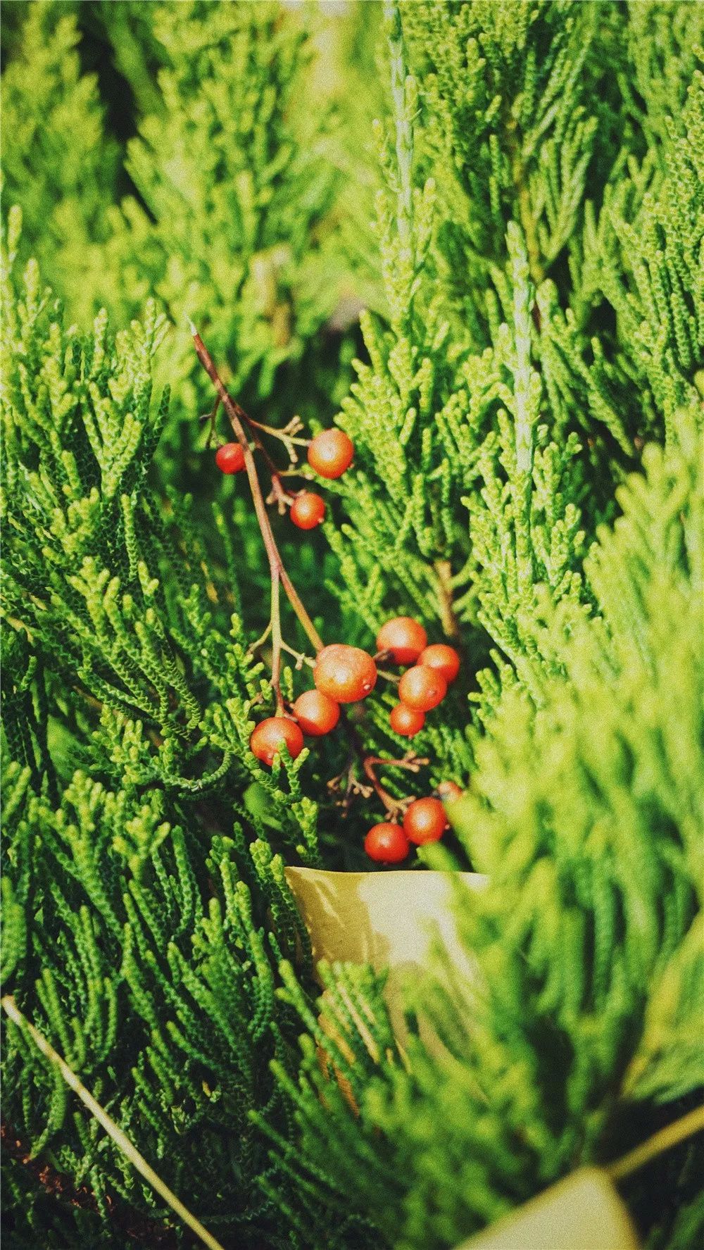 西安八月约会最佳地点,西安周末情侣最适合约会的地方