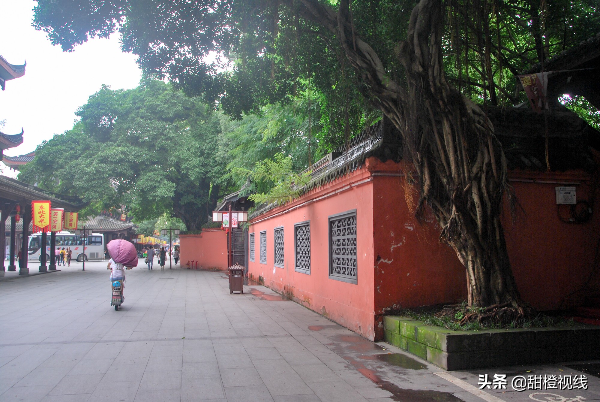 四川眉山的三苏祠,眉山三苏祠有什么故事