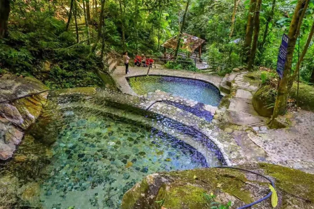 腾冲樱花谷哪里好,腾冲樱花谷的樱花什么时候开