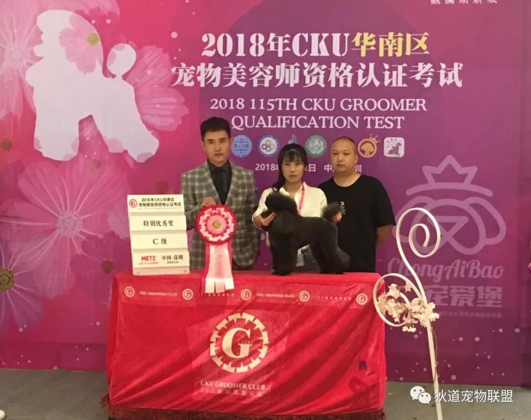 深圳宠物美容培训学校排名,壹择宠物美容培训学校