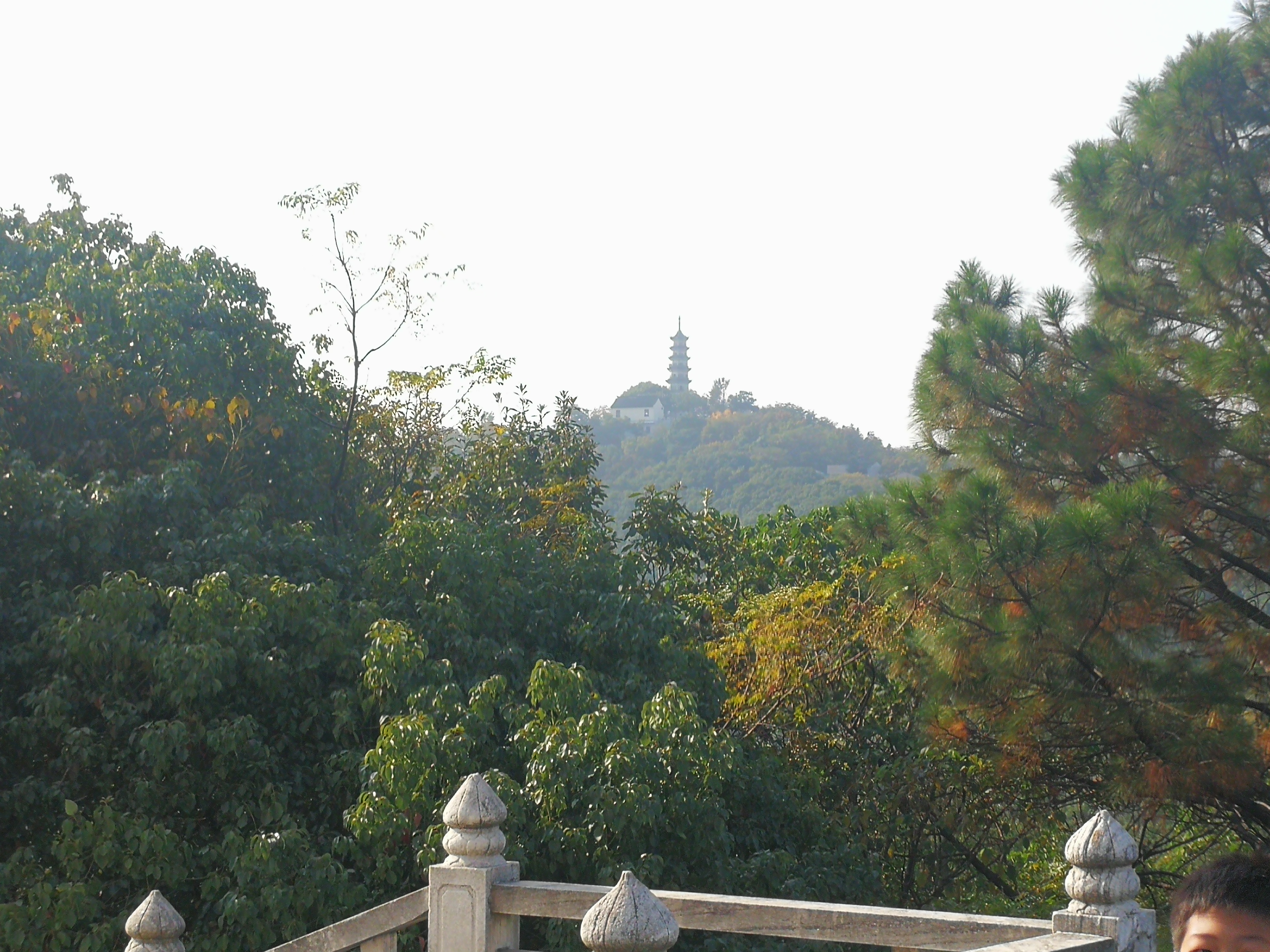 苏州上方山森林公园项目,苏州上方山森林公园好吗