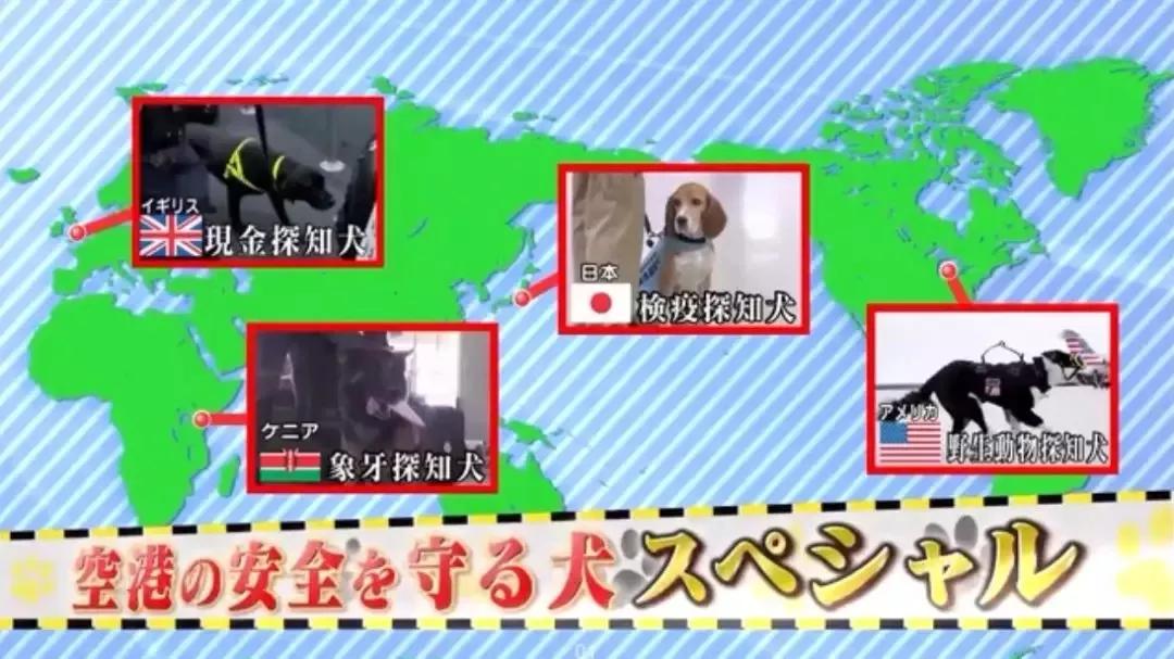 日本安检脱鞋,国内机场安检需要脱掉鞋子么