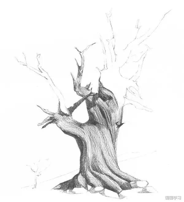 油画画树教程,怎么画树好看又超级简单