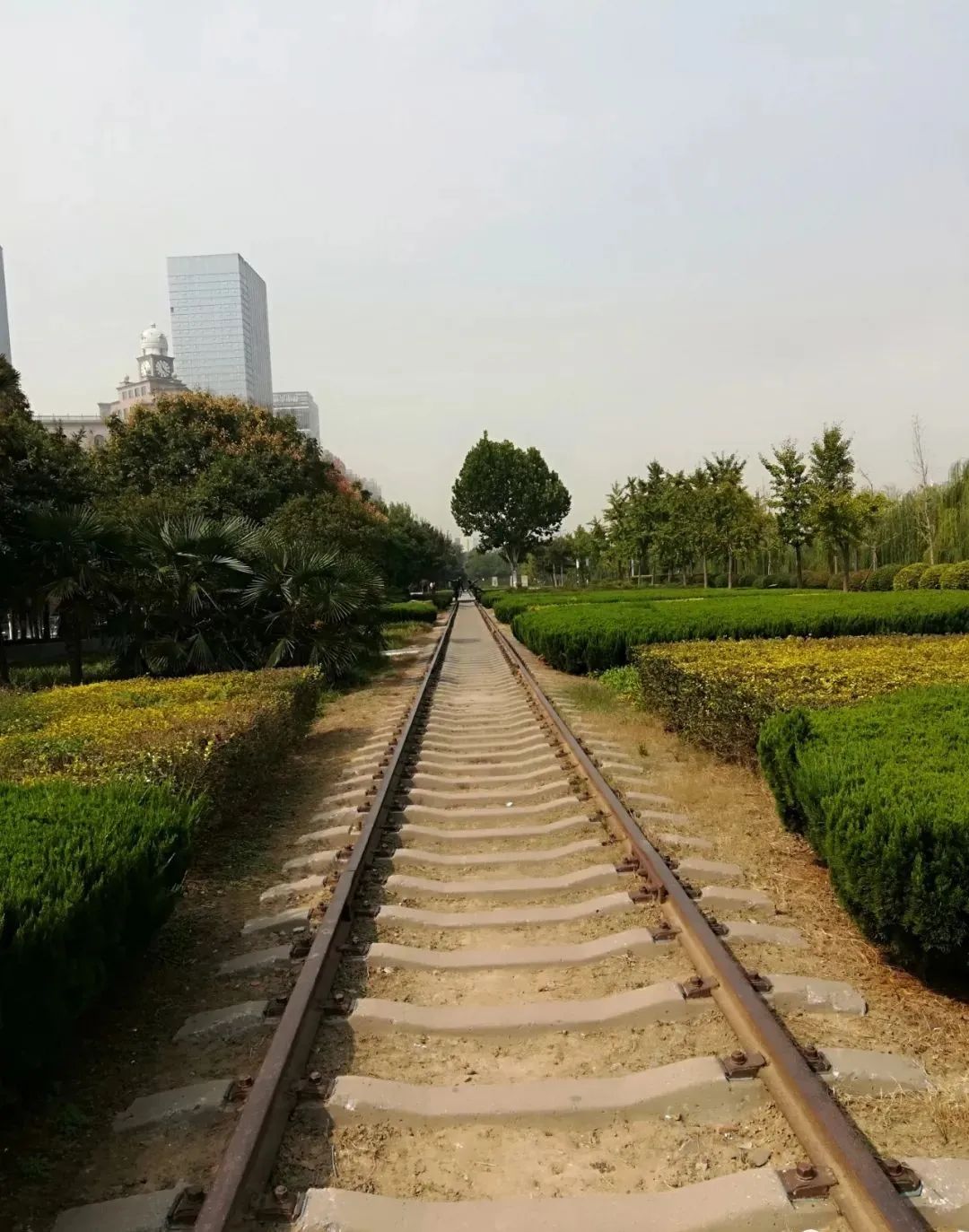 郑州公园里的房子,郑州哪些房子靠谱