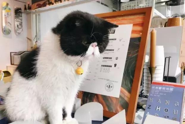 最火的奶茶咖啡排行榜前十名,好喝便宜的咖啡奶茶