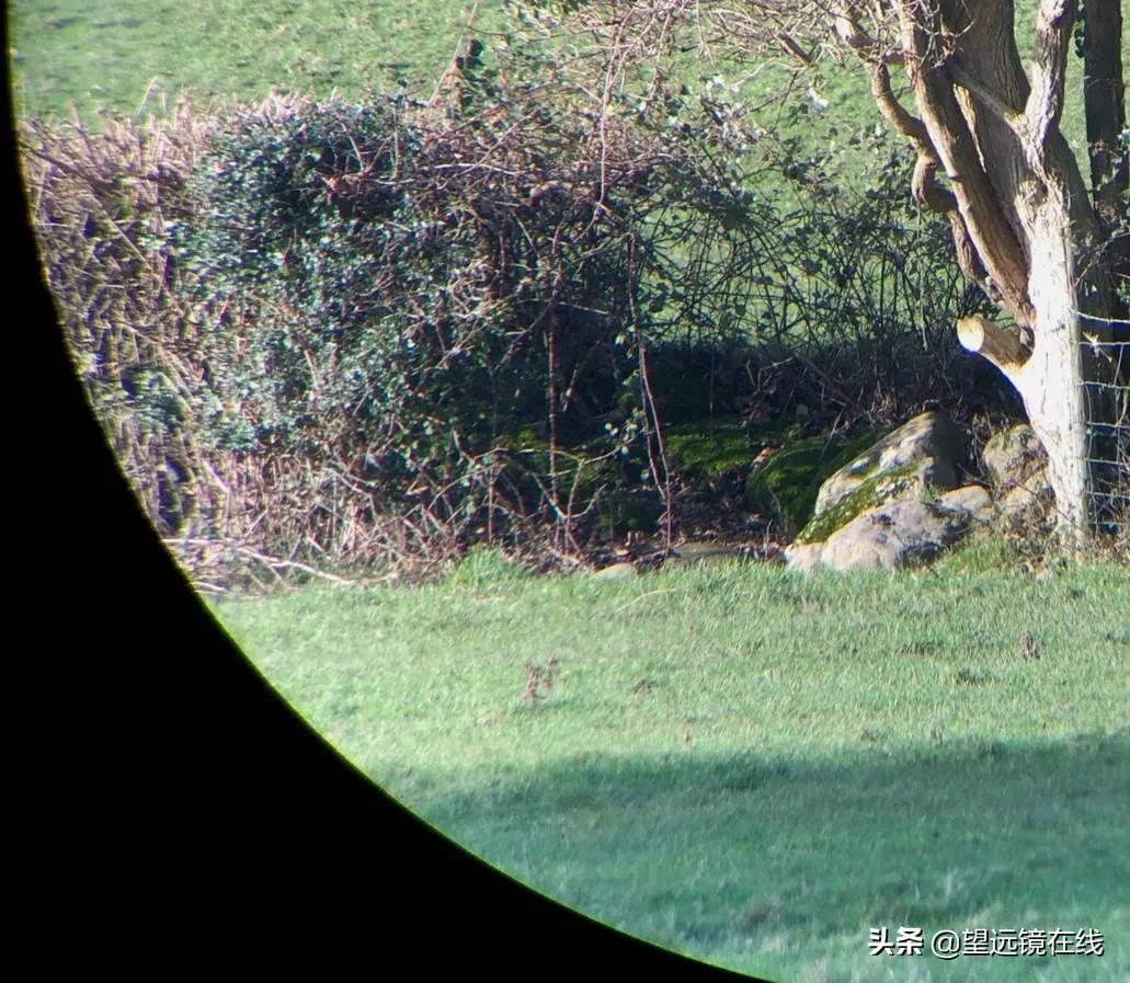 Vortex沃特斯Razor刀锋UHD18x56评测