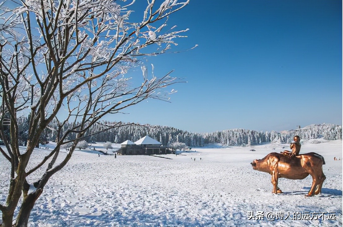 2020年仙女山第一场雪,仙女山第一场雪