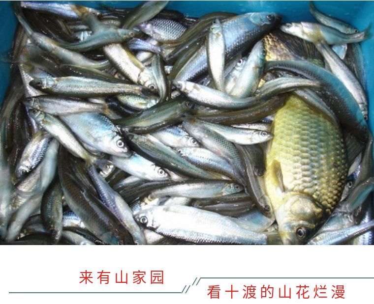 小众民宿住宿推荐,湖北郊游民宿